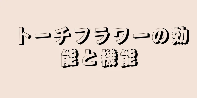 トーチフラワーの効能と機能