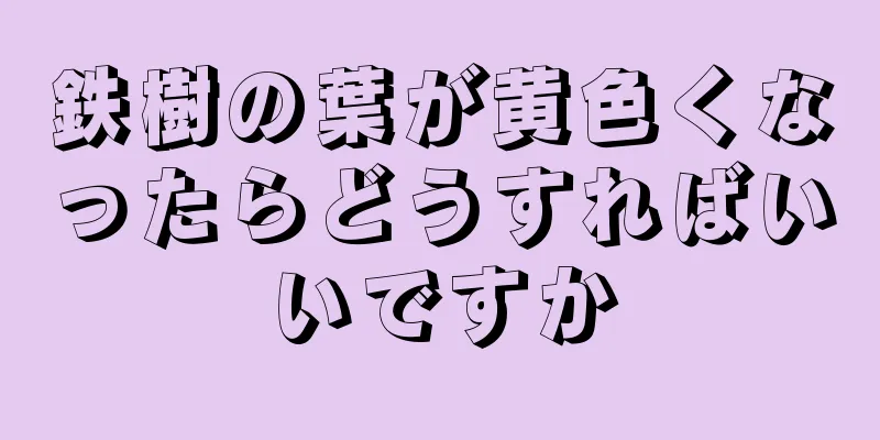 鉄樹の葉が黄色くなったらどうすればいいですか