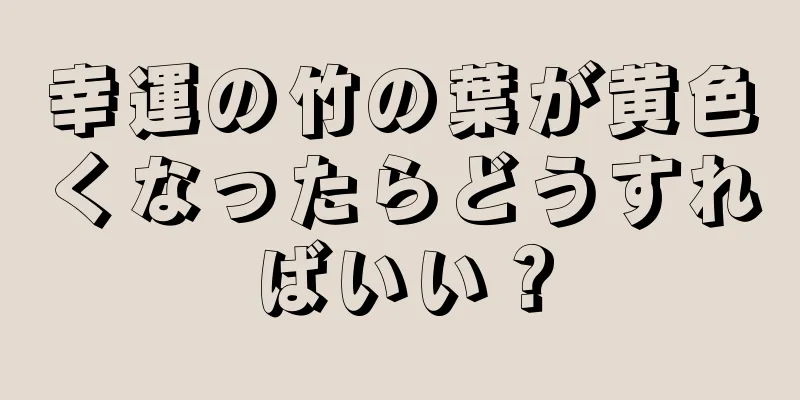 幸運の竹の葉が黄色くなったらどうすればいい？