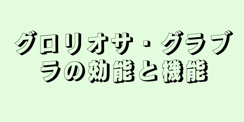 グロリオサ・グラブラの効能と機能