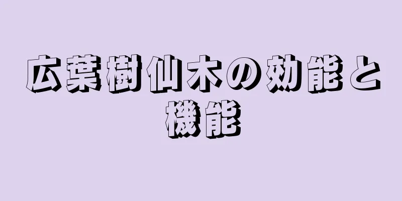 広葉樹仙木の効能と機能