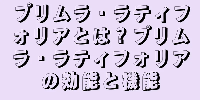 プリムラ・ラティフォリアとは？プリムラ・ラティフォリアの効能と機能