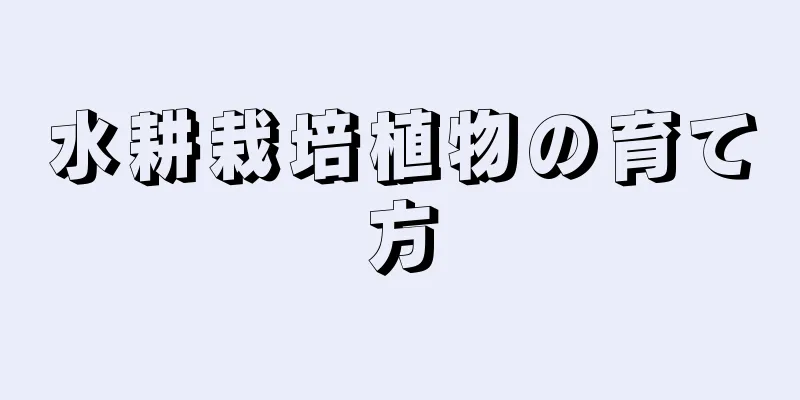 水耕栽培植物の育て方