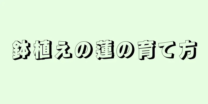 鉢植えの蓮の育て方