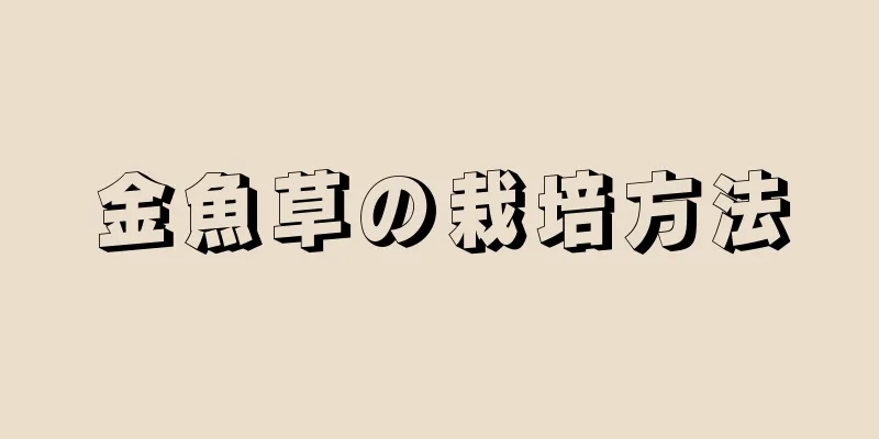 金魚草の栽培方法