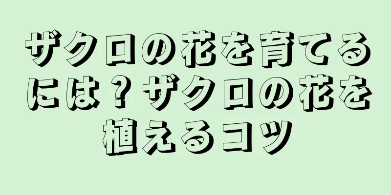ザクロの花を育てるには？ザクロの花を植えるコツ
