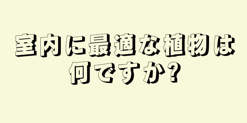 室内に最適な植物は何ですか?