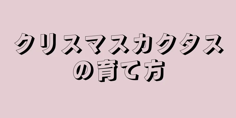 クリスマスカクタスの育て方
