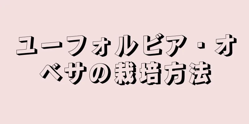 ユーフォルビア・オベサの栽培方法