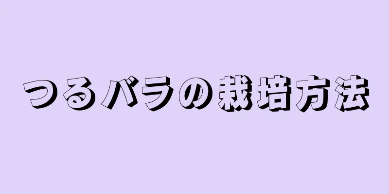 つるバラの栽培方法