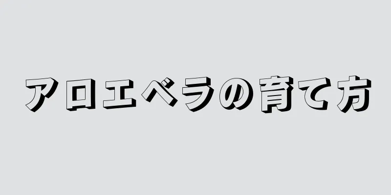 アロエベラの育て方