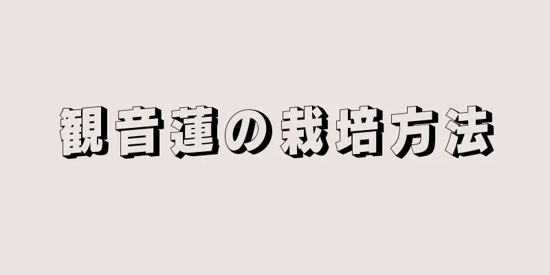 観音蓮の栽培方法