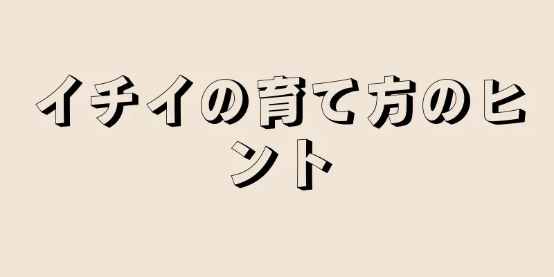 イチイの育て方のヒント