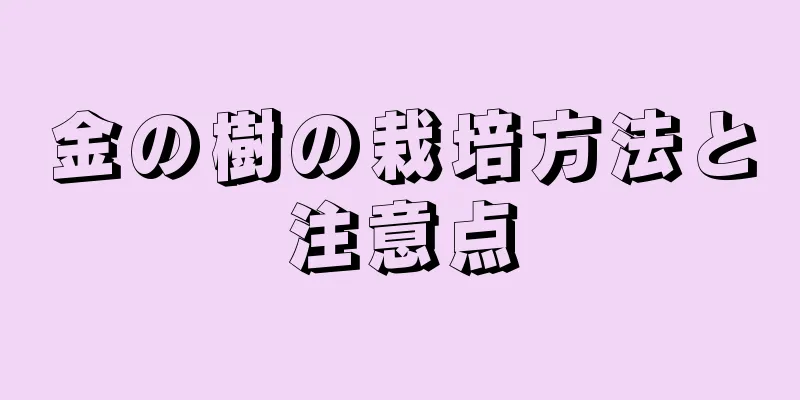 金の樹の栽培方法と注意点