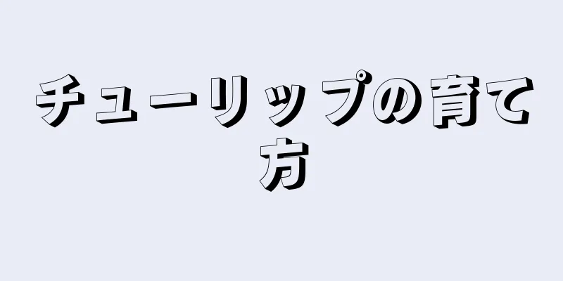 チューリップの育て方