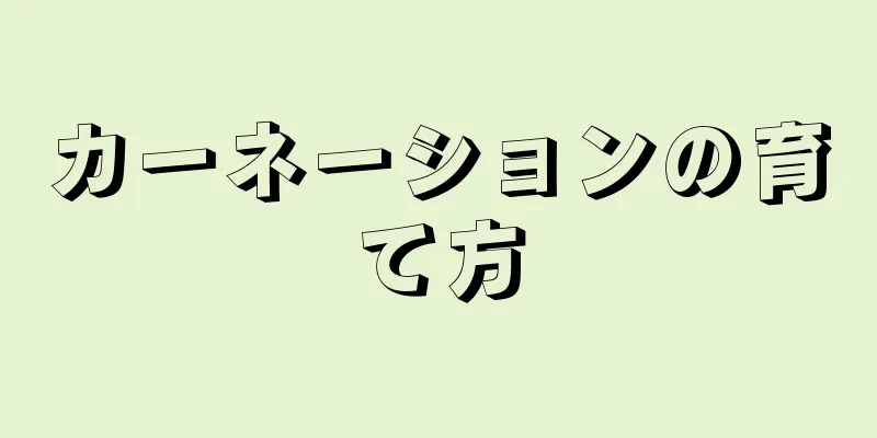 カーネーションの育て方