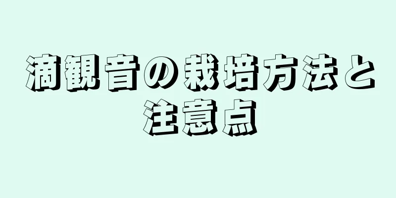 滴観音の栽培方法と注意点