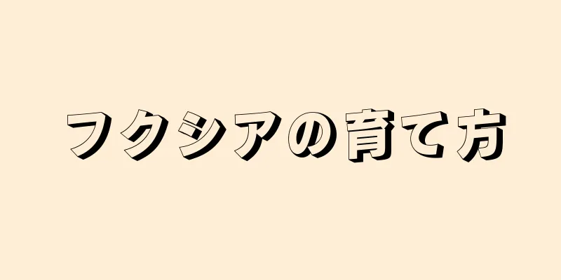 フクシアの育て方