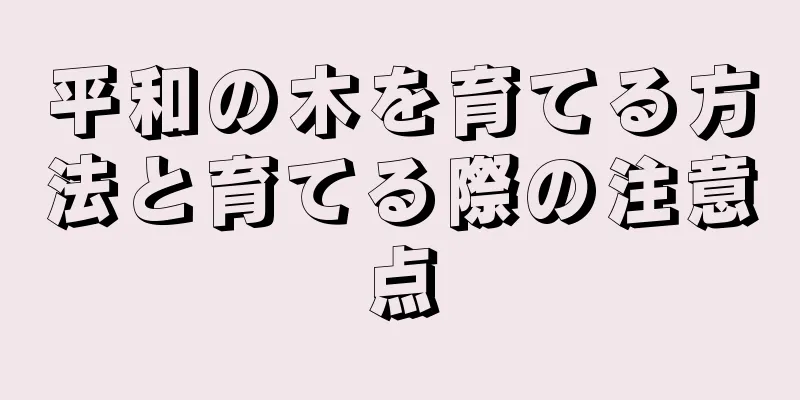 平和の木を育てる方法と育てる際の注意点