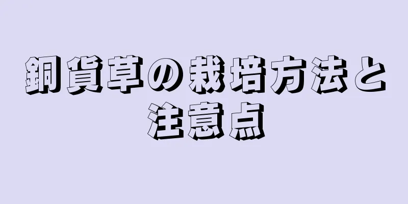 銅貨草の栽培方法と注意点