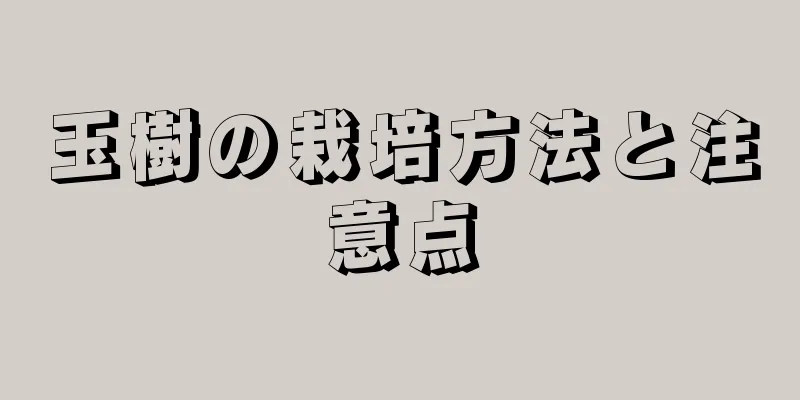 玉樹の栽培方法と注意点