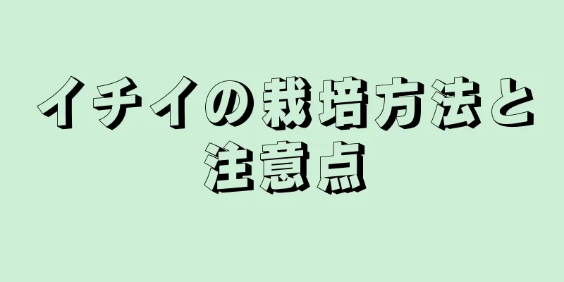 イチイの栽培方法と注意点