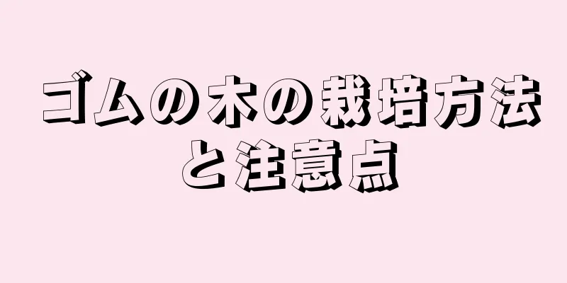 ゴムの木の栽培方法と注意点