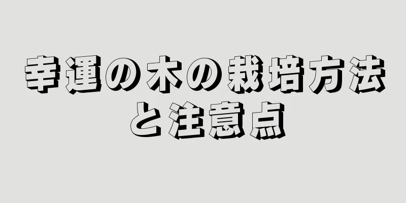 幸運の木の栽培方法と注意点