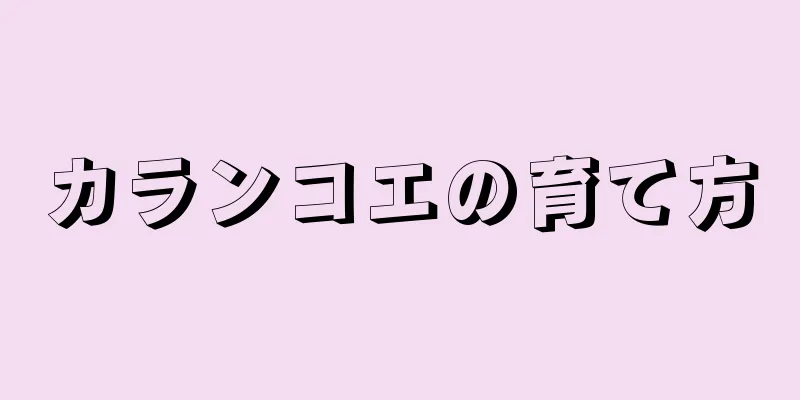 カランコエの育て方