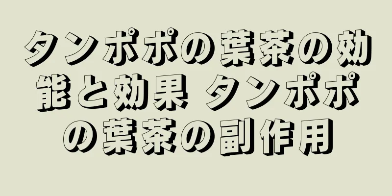 タンポポの葉茶の効能と効果 タンポポの葉茶の副作用
