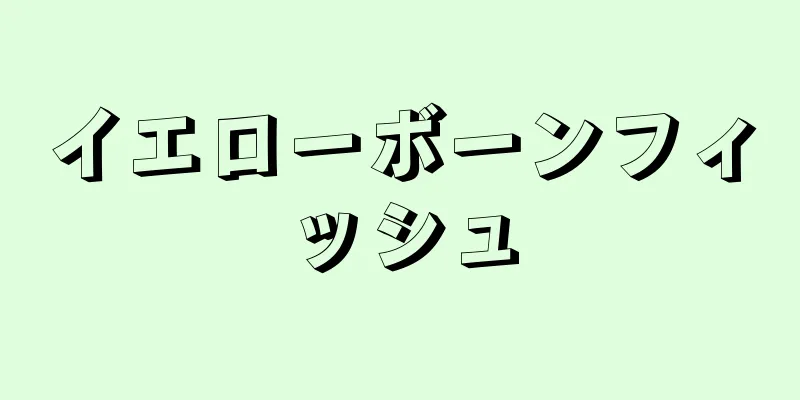 イエローボーンフィッシュ