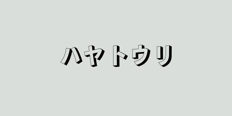 ハヤトウリ