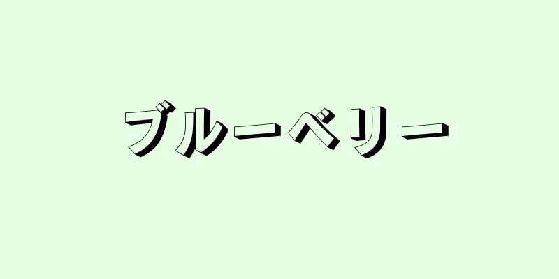 ブルーベリー
