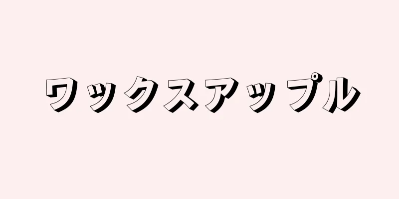 ワックスアップル