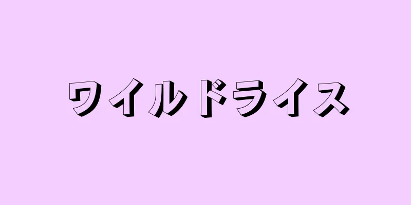 ワイルドライス