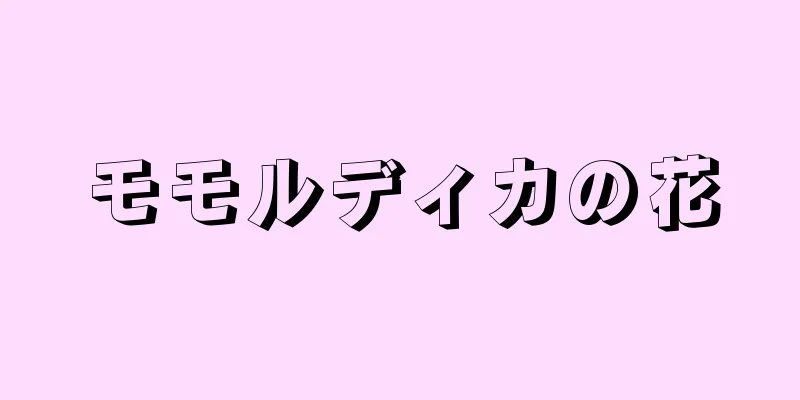 モモルディカの花