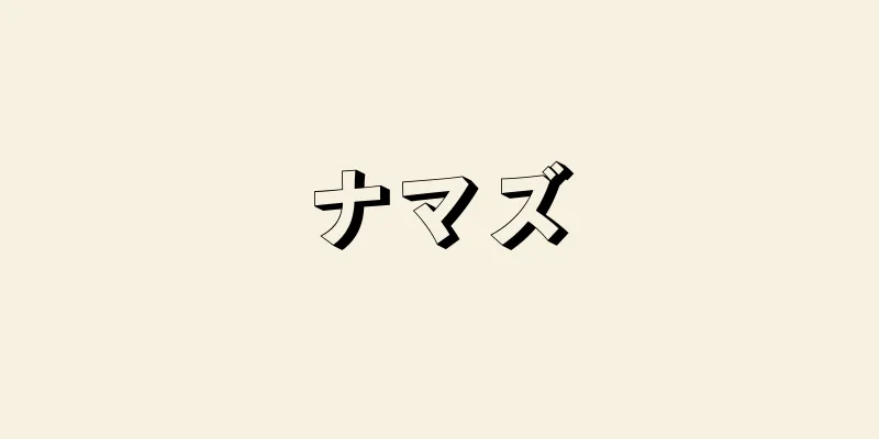 ナマズ