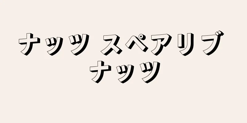 ナッツ スペアリブ ナッツ