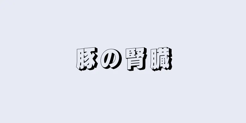 豚の腎臓