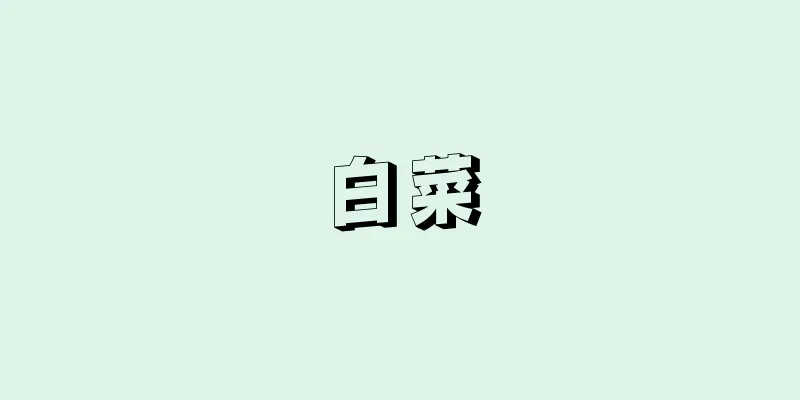 白菜