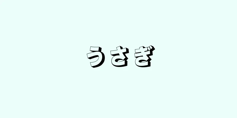 うさぎ