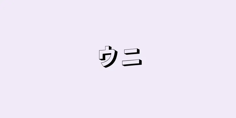 ウニ