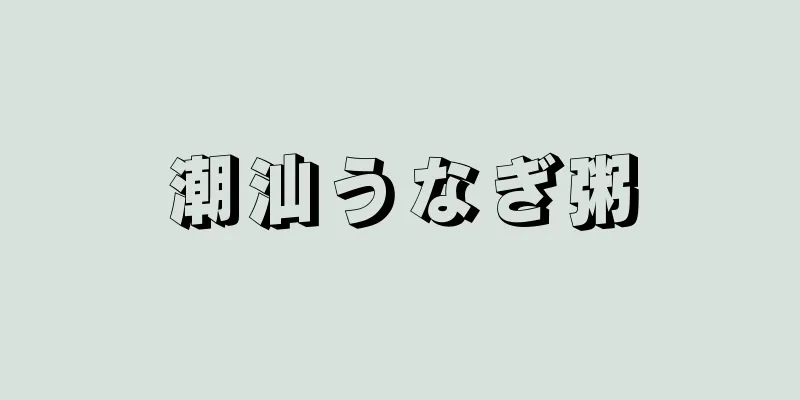 潮汕うなぎ粥