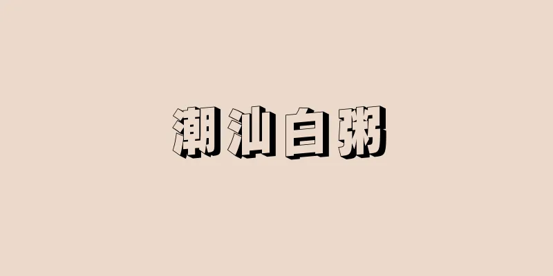 潮汕白粥