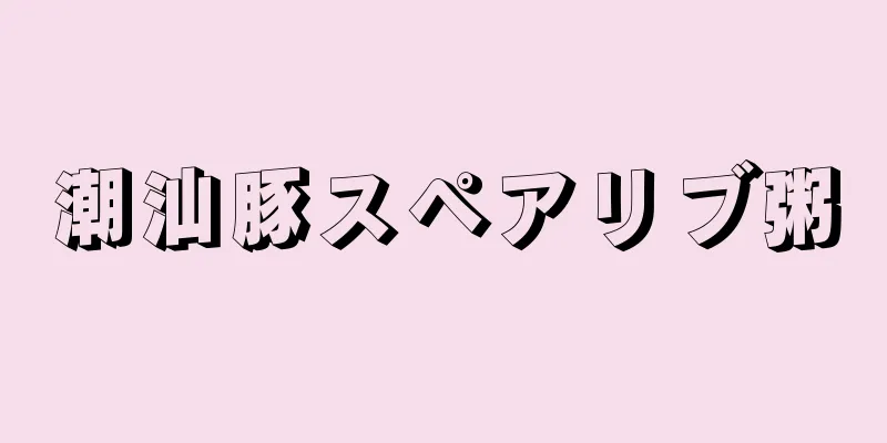 潮汕豚スペアリブ粥