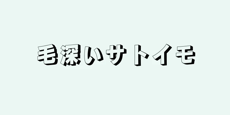 毛深いサトイモ