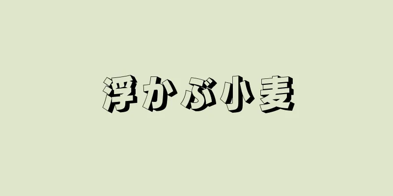 浮かぶ小麦