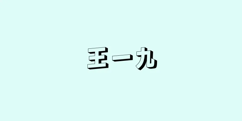 王一九