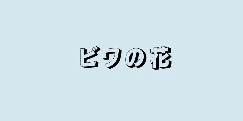ビワの花