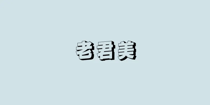老君美